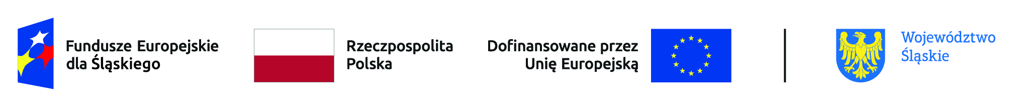 Loga EFS